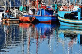 boats in harbor